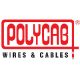 polycab-and-isamu